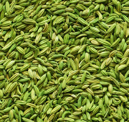 Fennel Seeds